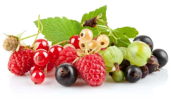 Conjunto de frutas frescas com folha verde — Fotografia de Stock