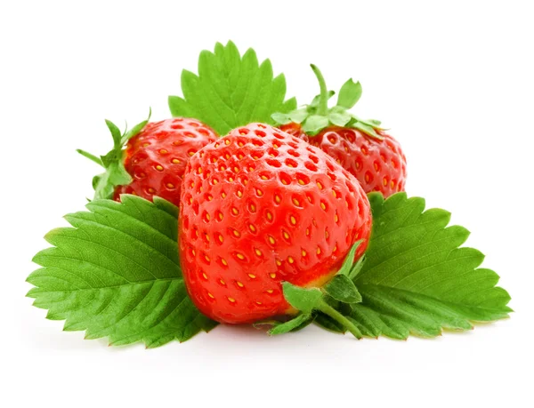 Red strawberry fruits with green leaves — Stock Photo, Image