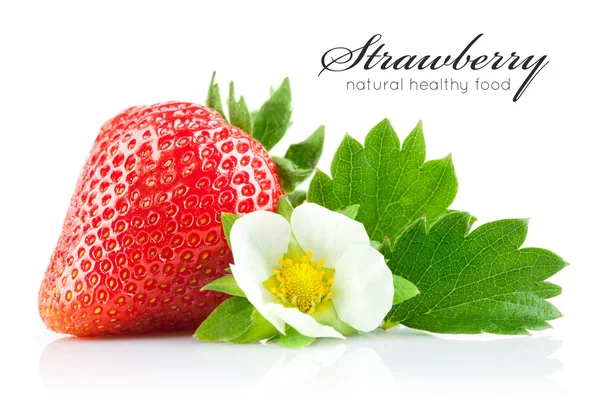 ग्रीन लीफ और फूल के साथ स्ट्रॉबेरी बेरी — स्टॉक फ़ोटो, इमेज