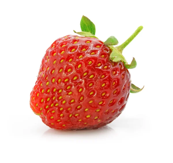 Plody červené jahody, samostatný — Stock fotografie