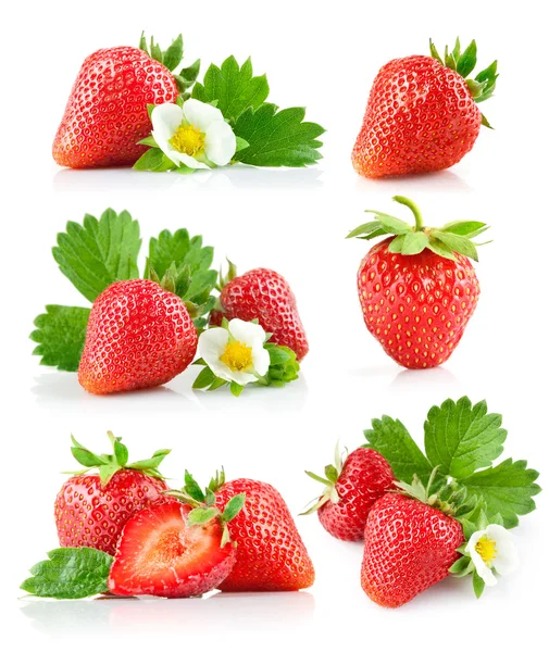 Instellen van de aardbei berry met groene bladeren en bloem — Stockfoto
