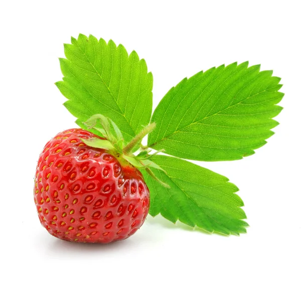 Κόκκινο φράουλα φρούτα με πράσινο φύλλα απομονωμένες — Φωτογραφία Αρχείου