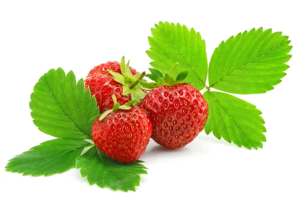Red strawberry fruits with green leafs isolated — Stock Photo, Image