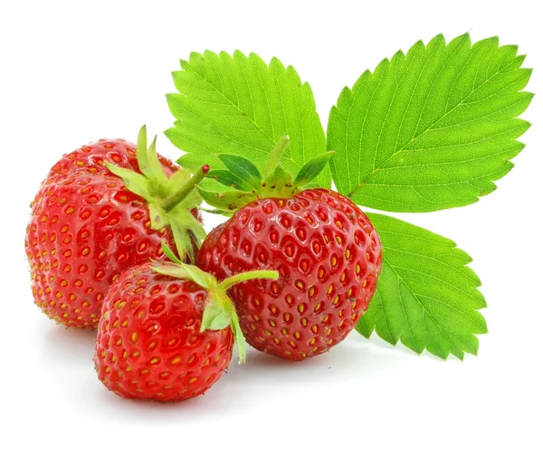 Czerwone owoce truskawki z zielonych liści na białym tle — Zdjęcie stockowe