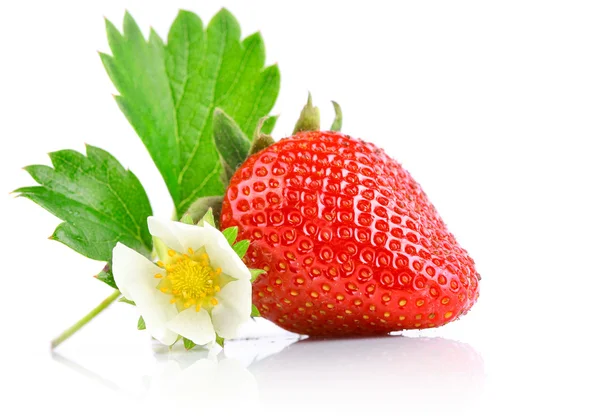 Set strawberry berry with cut and green leaf — Stock Photo, Image