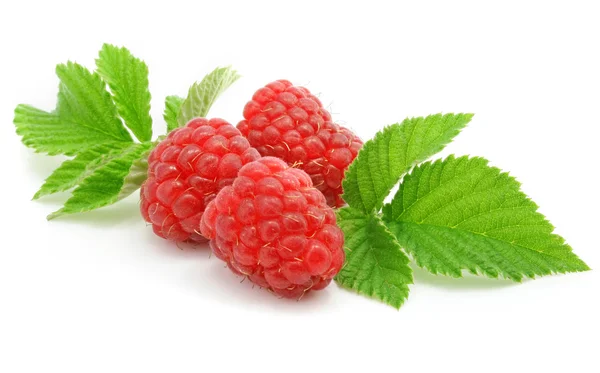 Berries ripe raspberry with leaf isolated — Stock Photo, Image