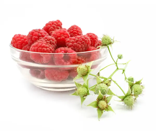 Rojos frambuesas frutas en florero de cristal — Foto de Stock