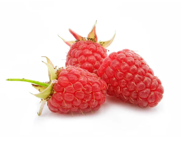 Red raspberry fruits isolated on white — Stock Photo, Image