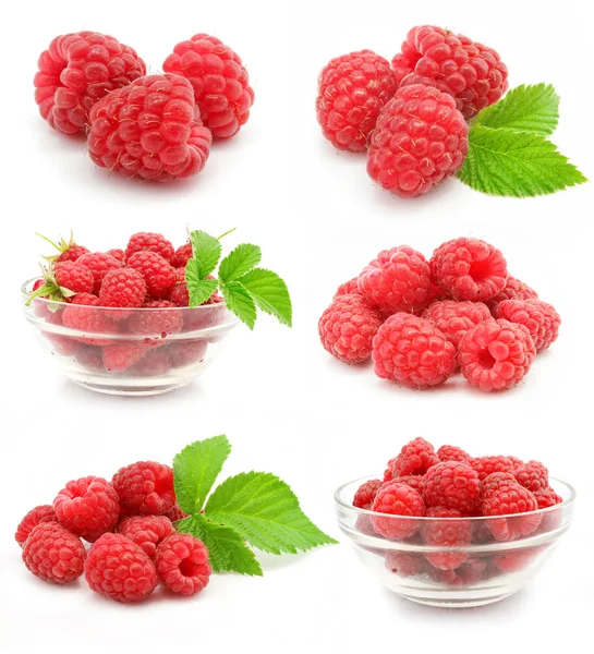Frutas frambuesa roja colección aislados — Stockfoto