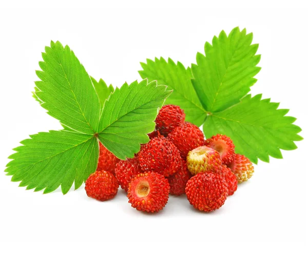 Röda jordgubbar frukter med gröna blad isolerade på vit — Stockfoto