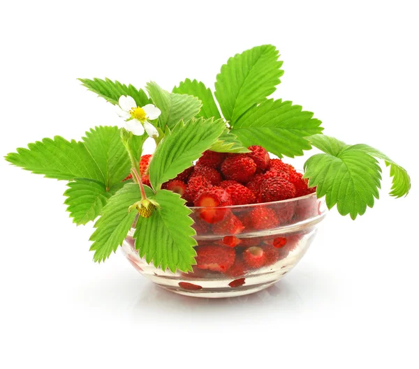 Rode strawberry vruchten met groene bladeren geïsoleerd op wit — Stockfoto
