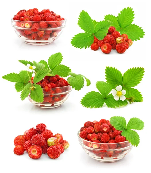 Collectie van Rode aardbei vruchten met groene bladeren geïsoleerde — Stockfoto