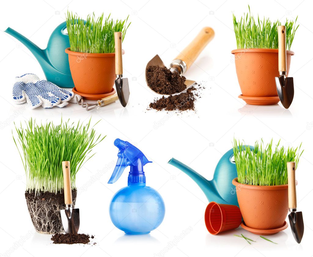 Set of green grass in the pot with shovel tool and ground