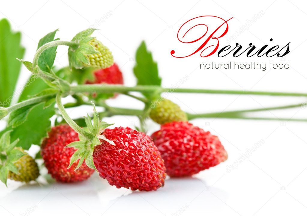 Wild strawberry berry with green leaf