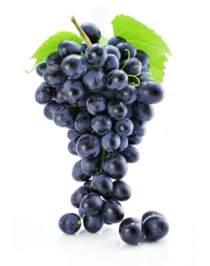 küme izole mavi üzüm