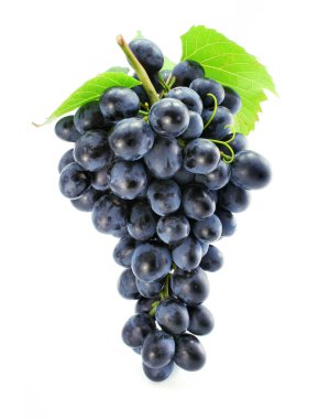 Cluster of blue grape isolated clipart