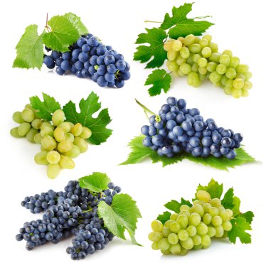 Set fresh grape fruits with green leaves clipart