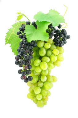 Cluster of green grape isolated on white