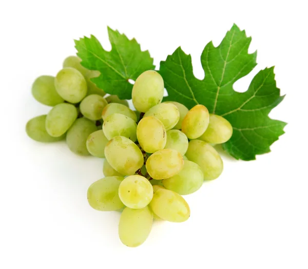 Плоды виноградной лозы с зелеными листьями — стоковое фото