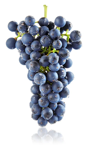 Świeże niebieski klastra winogron na białym tle owoc — Zdjęcie stockowe