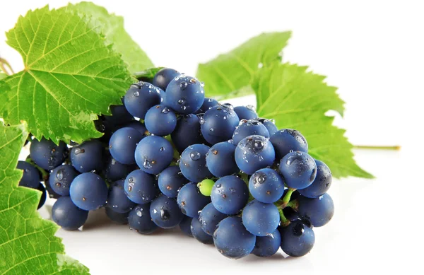 Uva azul con verde deja aislado fruto — Foto de Stock
