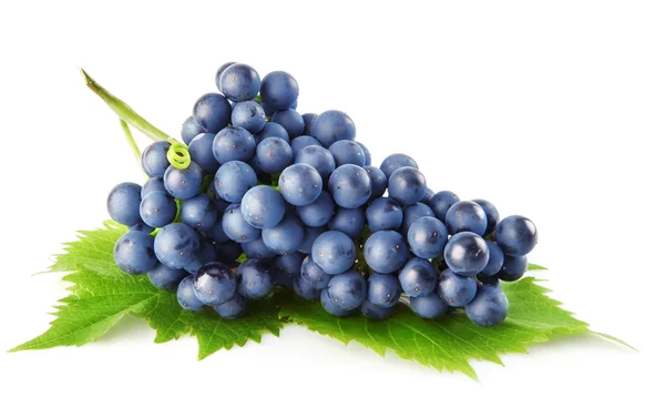 Синій виноград з зеленим листям ізольовані фрукти — стокове фото
