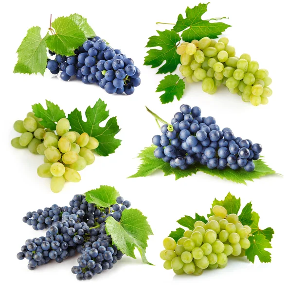 Conjunto de frutos de uva frescos com folhas verdes — Fotografia de Stock