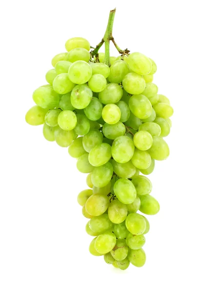 Cluster von grünen Trauben isoliert auf weiss — Stockfoto