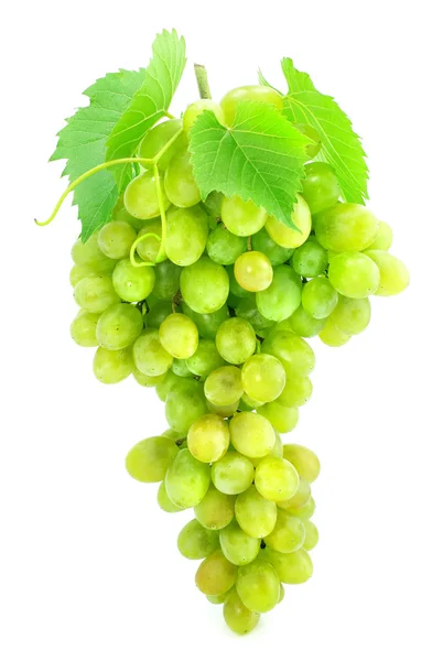 Grappe de raisin vert isolé sur blanc — Photo