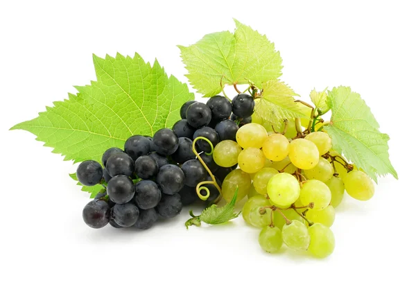Кластер зеленого і синього винограду ізольовано на білому — стокове фото