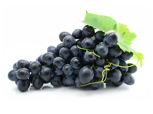 Кластер голубой винограда изолированные — стоковое фото