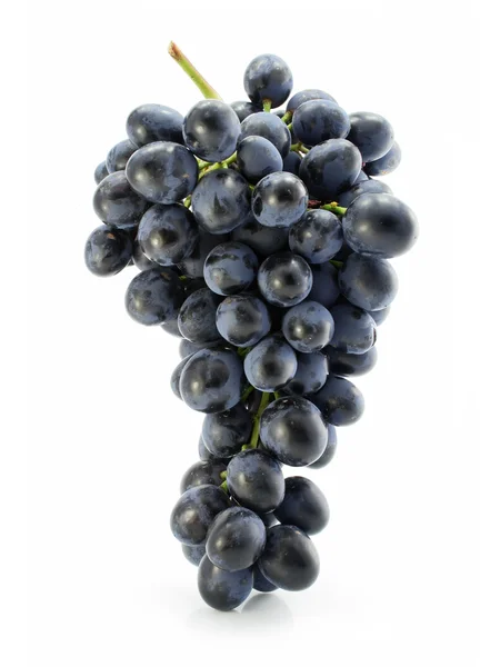 Grono niebieski winogron na białym tle — Zdjęcie stockowe