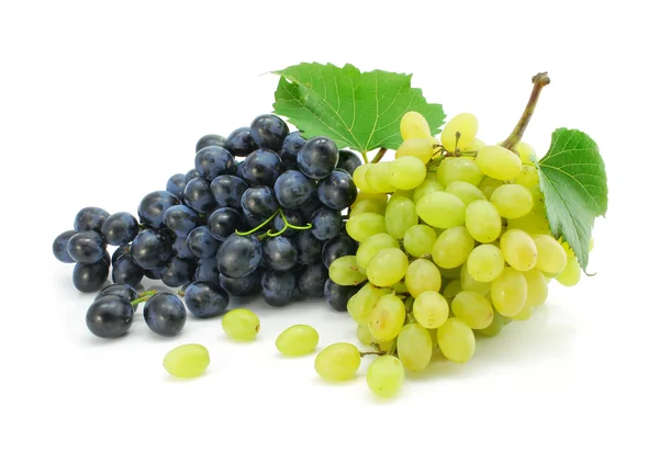 Синие и зеленые винограда фрукты изолированные — стоковое фото