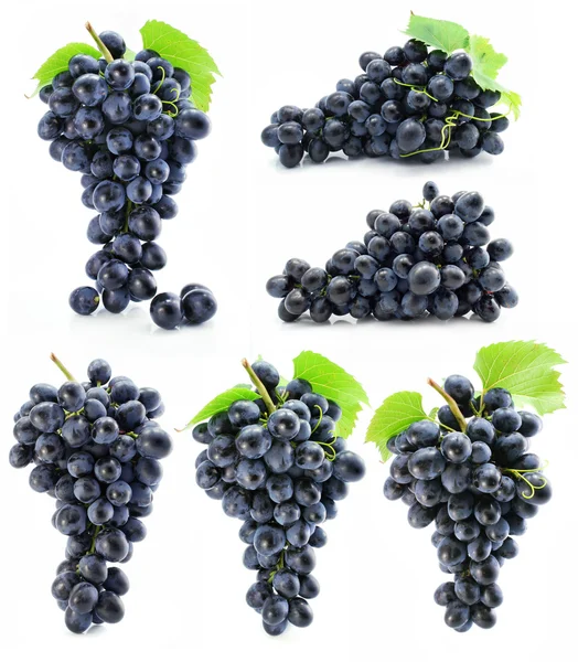 Collectie cluster van blauwe druif geïsoleerd — Stockfoto
