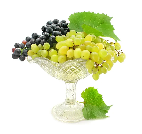 Cluster green and blue grape isolated on white — Stock Photo, Image