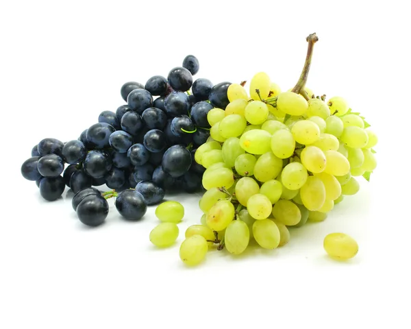 Clusters of blue and green grape isolated — Stock Photo, Image