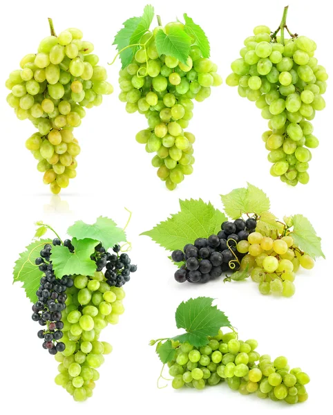 Collection of isolated grape clusters with green leafs — Stock Photo, Image