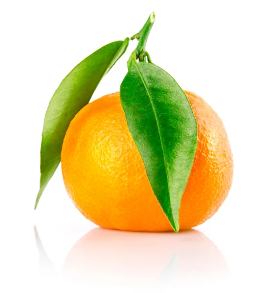 Mandarine Frischobst mit grünen Blätter isoliert — Stockfoto