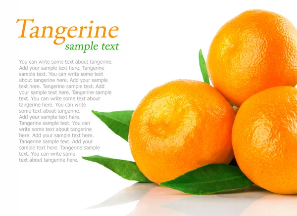 Tangerine frukter med gröna blad isolerade — Stockfoto