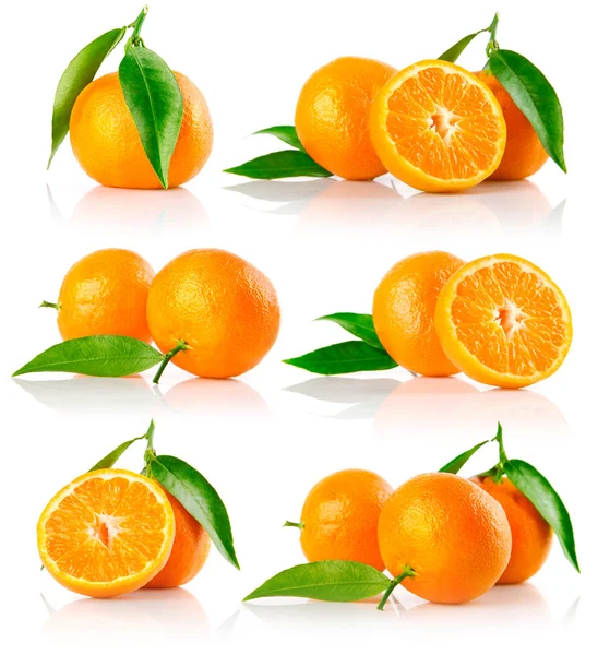 Uppsättning av färska mandarine frukter med klippa och gröna blad — Stockfoto