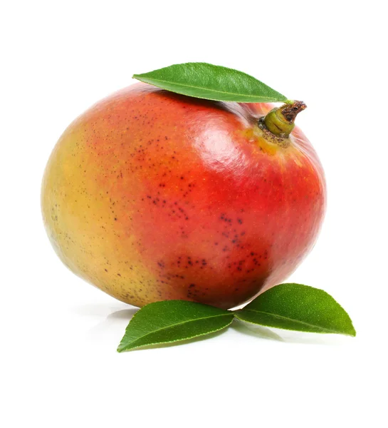 Owoce mango świeże, zielone liście na białym tle — Zdjęcie stockowe