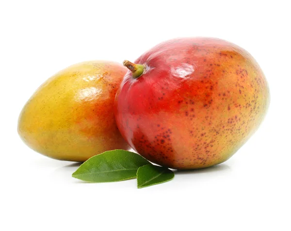 Свіжі фрукти манго з зеленим листям ізольовані — стокове фото