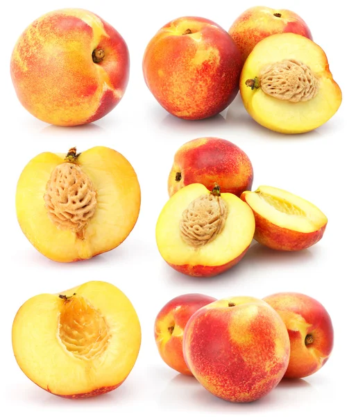 Natürlichen Pfirsich Früchte Sammlung isoliert auf weiss — Stockfoto