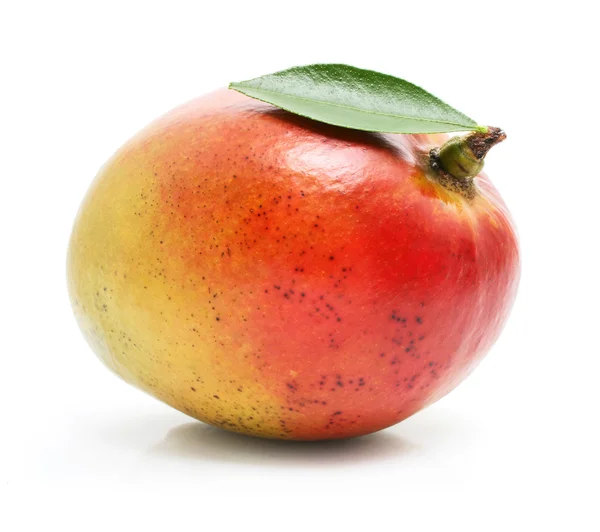 Frische Mangofrüchte mit grünen Blättern isoliert — Stockfoto
