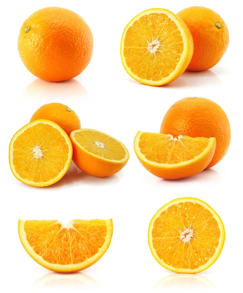 컬렉션 오렌지 감귤 흰색 절연 — 스톡 사진