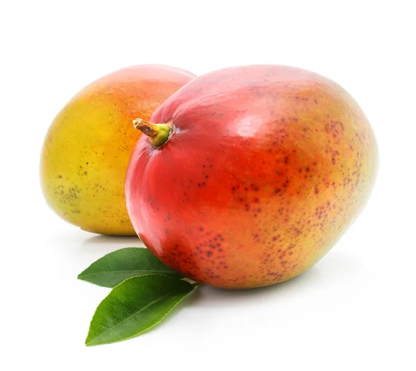 Frutas maduras de mango — Foto de Stock