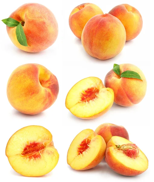 Collection of fresh peach fruits isolated — Stock Photo, Image