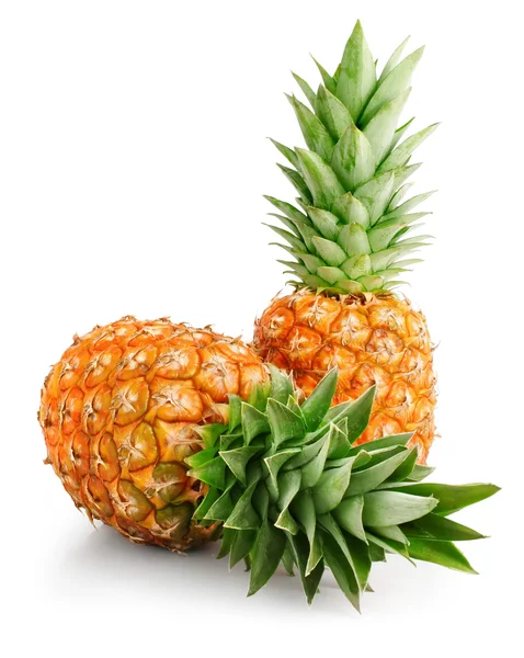 Frische Ananas Früchte mit grünen Blättern — Stockfoto