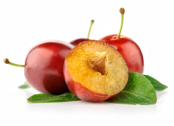 Verse pruim vruchten met knippen en groene bladeren — Stockfoto