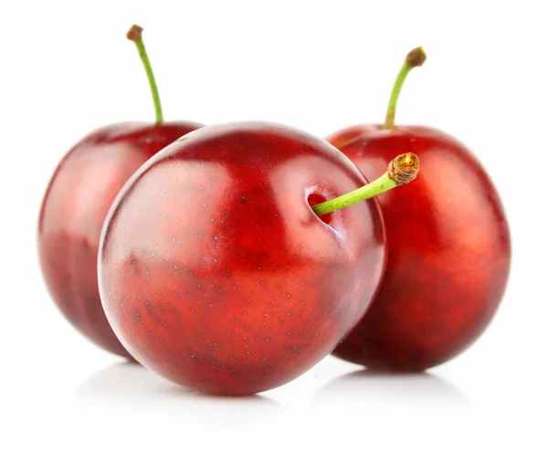 Frutas ameixa fresca isoladas no branco — Fotografia de Stock